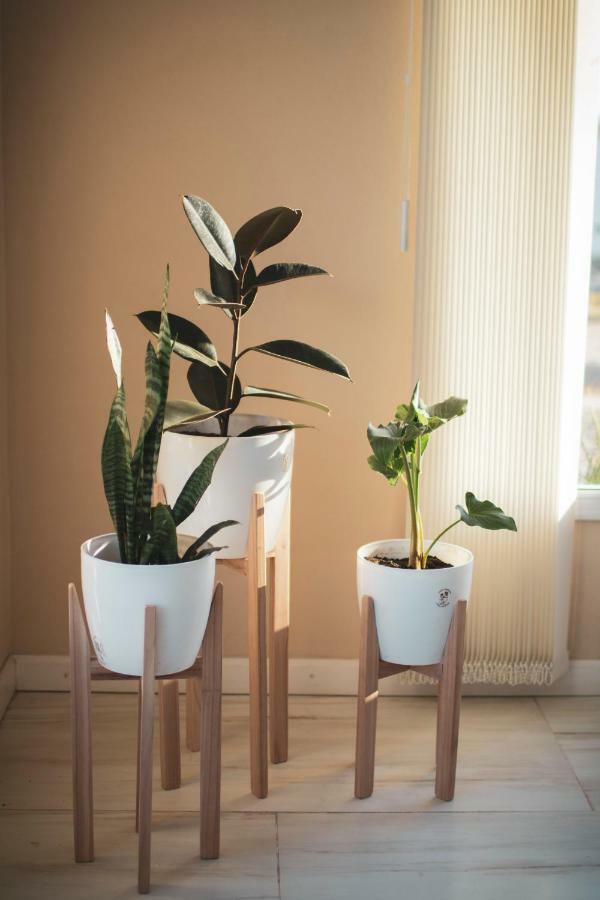 Cala Hotel Boutique San Luis Eksteriør bilde